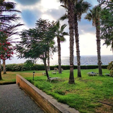 King Alexander Villa 22 Πάφος Εξωτερικό φωτογραφία